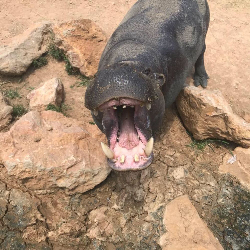 Meet your Posher, Gary